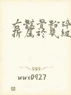 右髌骨粉碎性骨折属于几级伤残