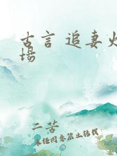 古言 追妻火葬场