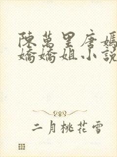 陈万里唐嫣然宋娇娇姐小说