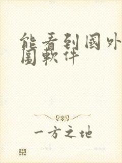 能看到国外的地图软件