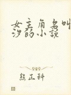 女主角名叫苏云汐的小说