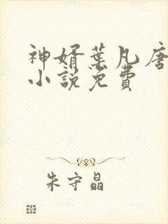 神婿叶凡唐若雪小说免费