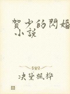 贺少的闪婚暖妻 小说