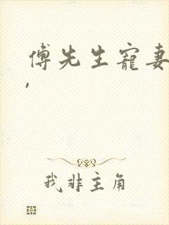 傅先生宠妻无度,