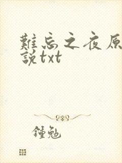 难忘之夜原著小说txt