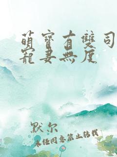 萌宝有双司先生宠妻无度