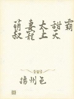 萌妻太甜霸道大叔宠上天