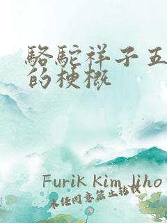 骆驼祥子五六章的梗概