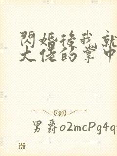 闪婚后我就成了大佬的掌中之物