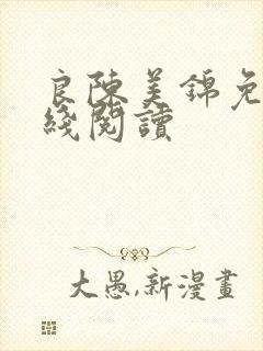 良陈美锦免费在线阅读