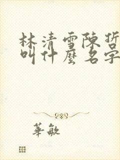 林清雪陈哲小说叫什么名字