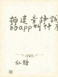 拍违章挣钱上传的app叫什么