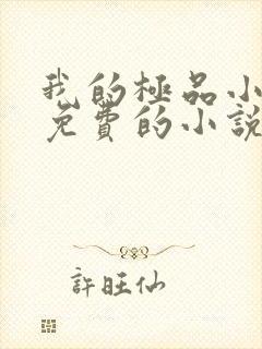 我的极品小姨全免费的小说