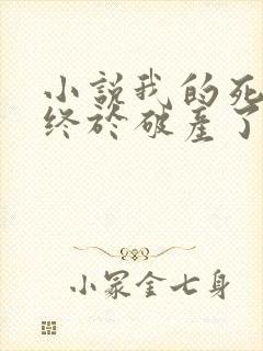 小说我的死对头终于破产了