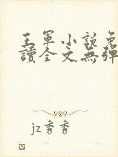 王军小说免费阅读全文无弹窗