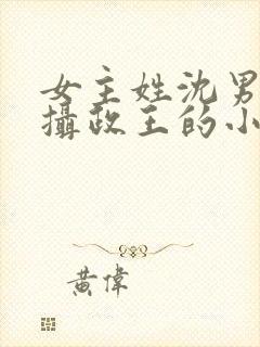 女主姓沈男主是摄政王的小说