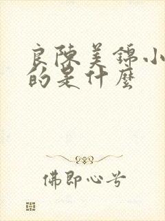 良陈美锦小说讲的是什么