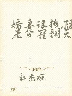 娇妻很拽,隐婚老公宠翻天小说