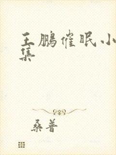 王鹏催眠小说全集