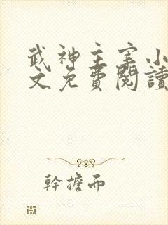 武神主宰小说全文免费阅读无弹窗