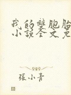 我的双胞胎老婆小说全文免费阅读