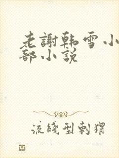 老谢韩雪小说全部小说