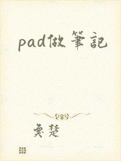 pad做笔记