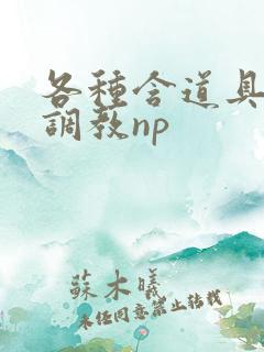 各种含道具高h调教np