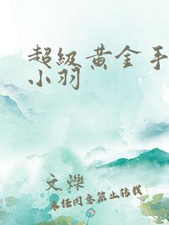 超级黄金手 小小羽