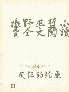 撒野巫哲小说免费全文阅读