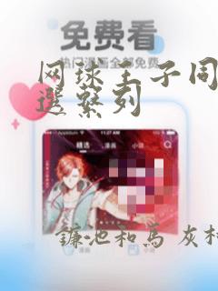 网球王子同人精选系列：结局+番外