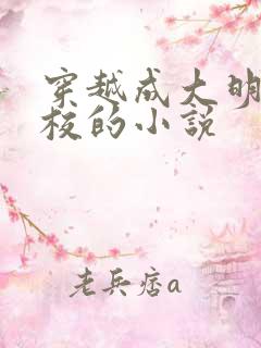 穿越成大明朱由校的小说