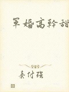 军婚高干甜宠文