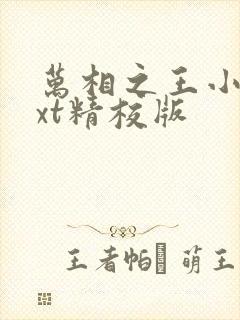 万相之王小说txt精校版