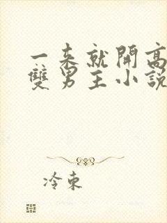 一来就开高速的双男主小说