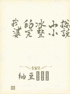 我的冰山总裁老婆完整小说