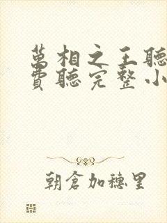 万相之王听书免费听完整小说