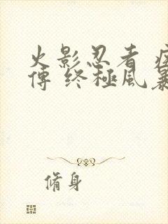 火影忍者 疾风传 终极风暴4