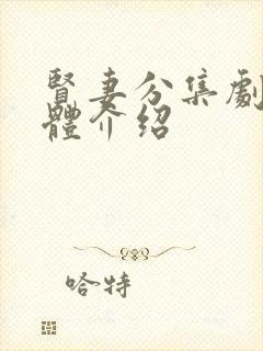 贤妻分集剧情具体介绍