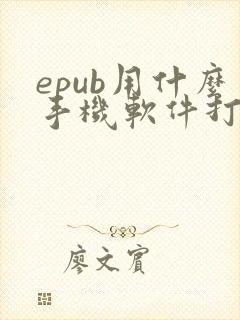 epub用什么手机软件打开