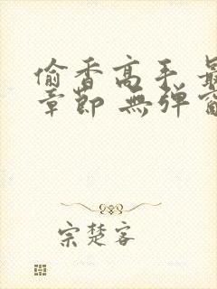 偷香高手 最新章节 无弹窗