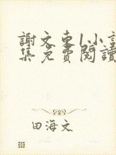 谢文东1小说全集免费阅读