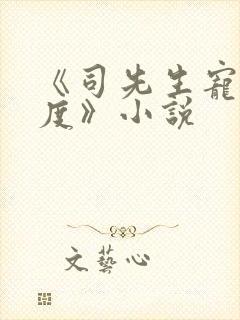 《司先生宠妻无度》小说