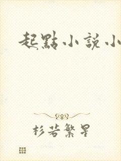 起点小说小说网