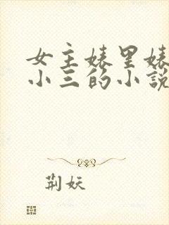 女主婊里婊气当小三的小说