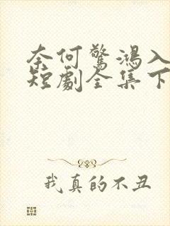 奈何惊鸿入我心短剧全集下载