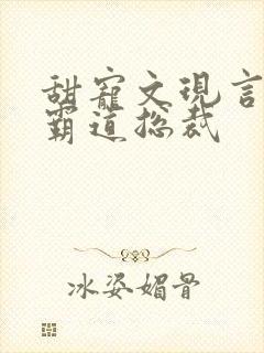 甜宠文现言推荐霸道总裁