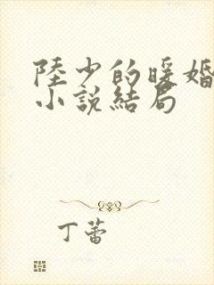 陆少的暖婚新妻小说结局