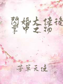 闪婚大佬后成了掌中之物