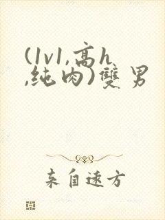 (1v1,高h,纯肉)双男